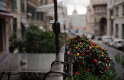 The view of a street near porta soprana in genova