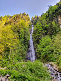 Scenic view of waterfall amidst trees in forest against sky