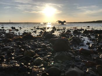 Rocks on beach against sky during sunset