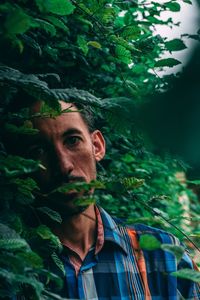Portrait of a man looking through leaves