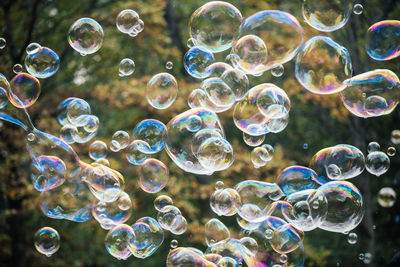 Close-up of bubbles