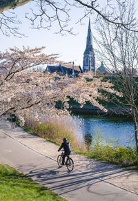 Woman riding bicycle by river in city