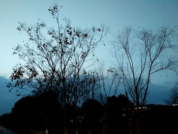 Low angle view of silhouette bare trees against clear sky