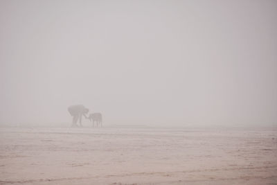 Silhouette man with dog standing on field against sky during foggy weather