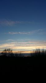 Silhouette bare trees on field against sky during sunset