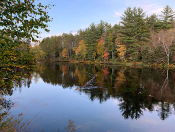 Reflection of trees in lake against sky during autumn