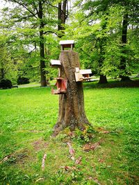 Birdhouse on tree trunk in park