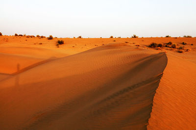 Scenic view of desert