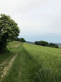 Scenic view of field against sky