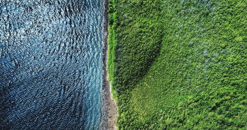 High angle view of field against sky