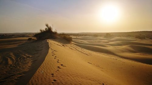 Scenic view of desert 