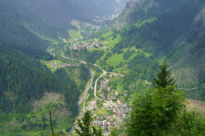 High angle view of trees on landscape