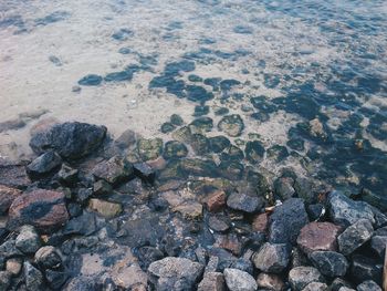 Rocks on shore