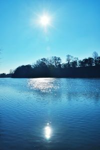 Reflection of trees in water