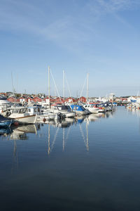 Sailboats moored in harbor