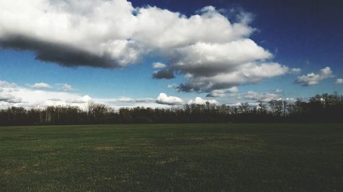 Trees on field against sky