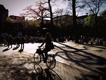 Shadow of trees on the wall