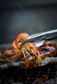 Close-up of crab on barbecue