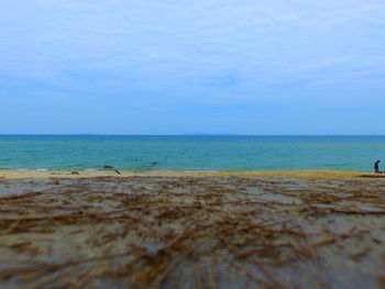 Scenic view of sea against blue sky