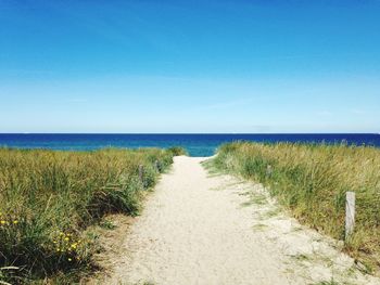 Dirt road amidst grass by baltic sea against clear sky