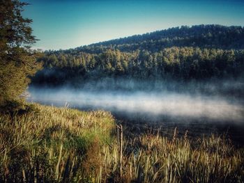 Scenic view of lake against clear sky