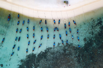 Aerial view of seascape