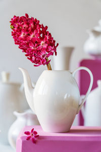 Close-up of potted plant on table