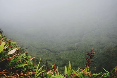 Scenic view of mountains during foggy weather