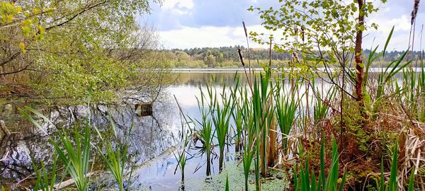 Scenic view of lake against sky