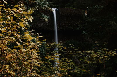 Scenic view of waterfall