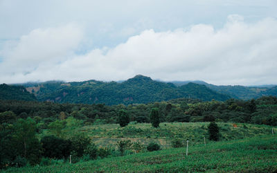 Scenic view of landscape and mountains against sky