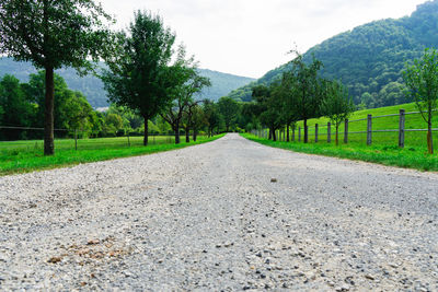 Road amidst trees against sky