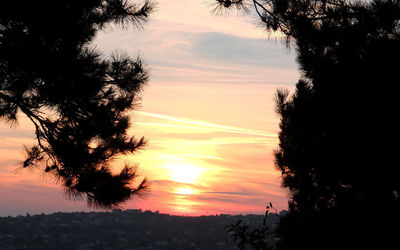 Silhouette trees against sky during sunset