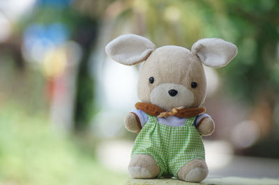 Close-up of stuffed toy