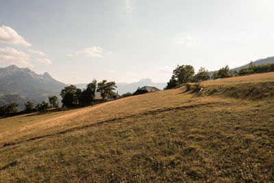 Scenic view of field against sky