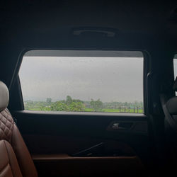 Man sitting in car window