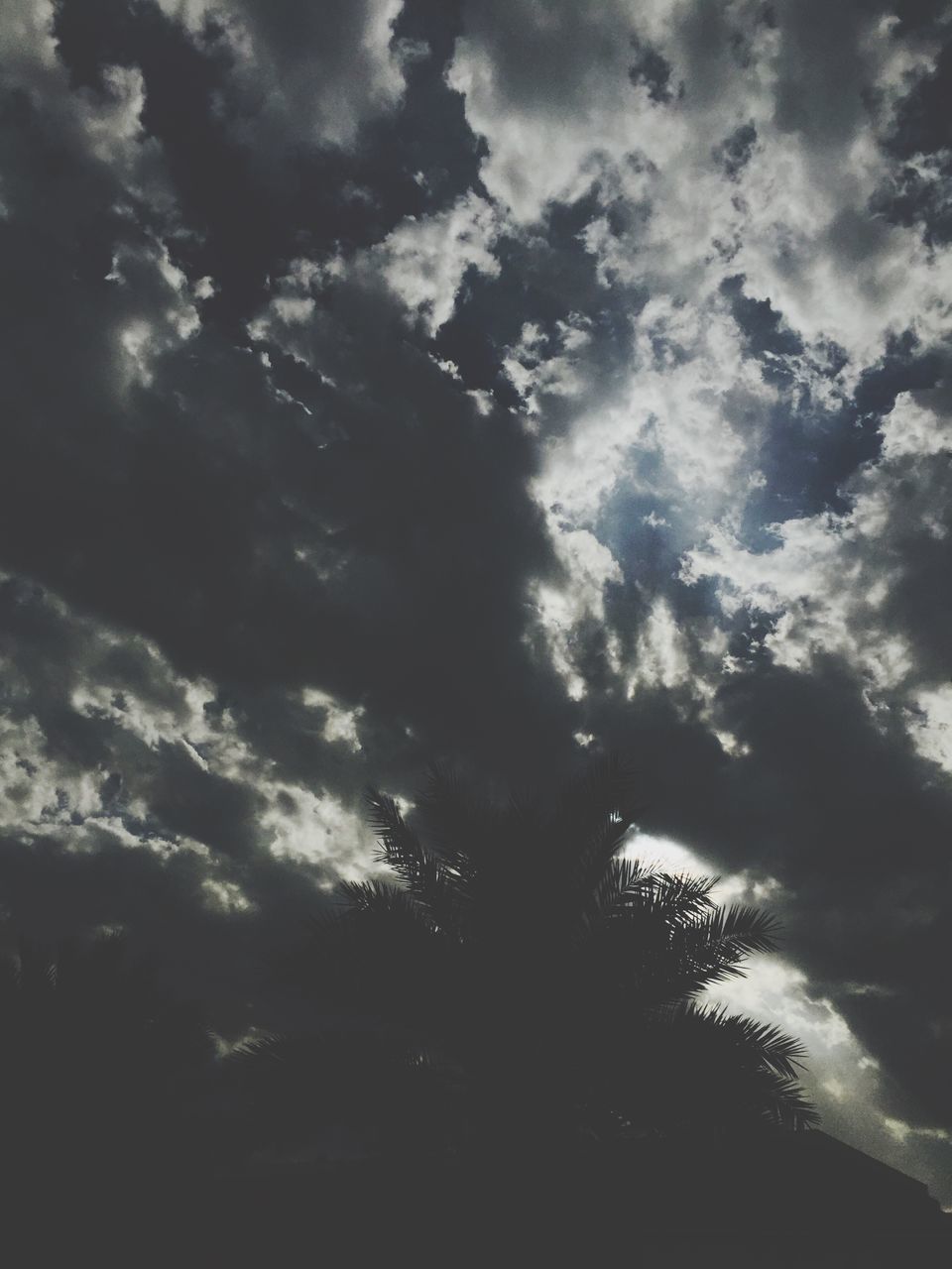 low angle view, tree, sky, silhouette, cloud - sky, tranquility, beauty in nature, tranquil scene, nature, scenics, cloudy, growth, cloud, sunlight, outdoors, idyllic, no people, sunbeam, day, branch