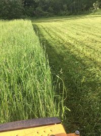 High angle view of field