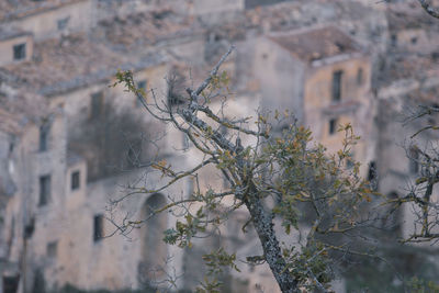 Ruin of an old building, ghost town romagnano al monte, italy