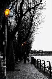 Bare tree in city against clear sky