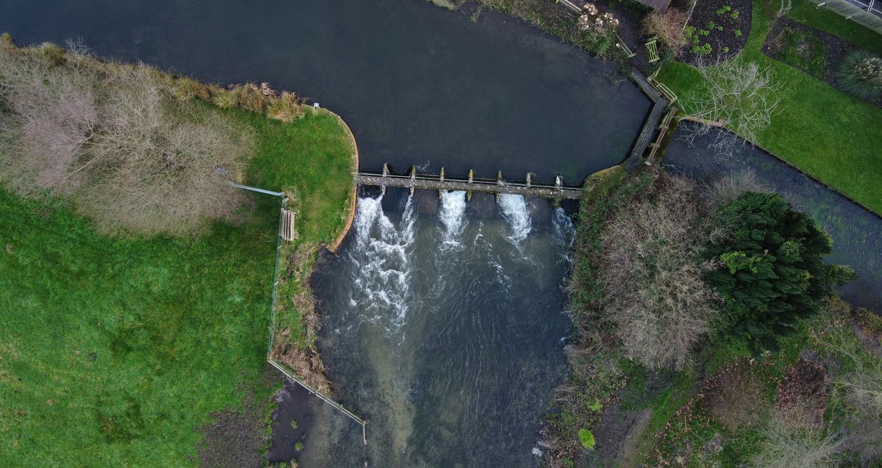 HIGH ANGLE VIEW OF DAM AND PLANTS IN GARDEN