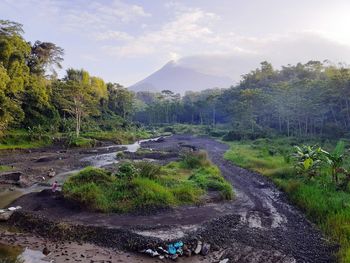 Mount merapi