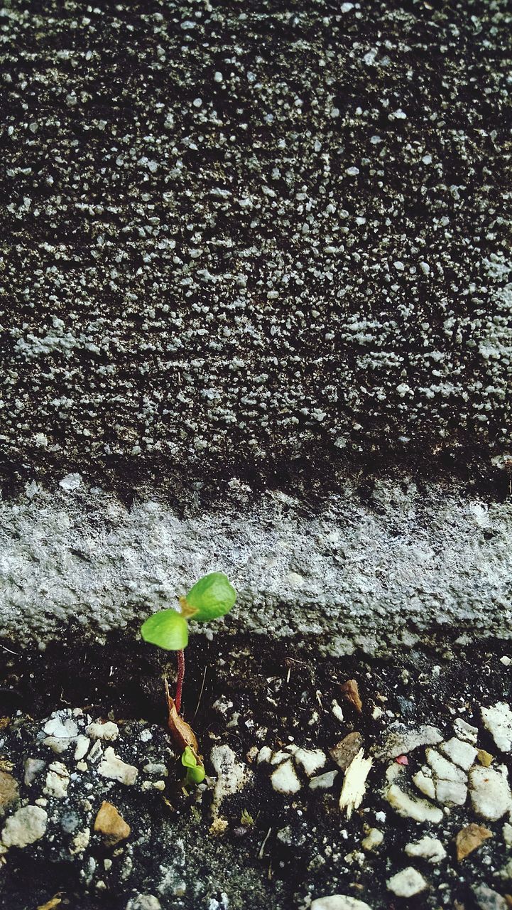 water, wet, high angle view, leaf, street, day, nature, reflection, outdoors, beach, one person, yellow, puddle, sunlight, rain, asphalt, weather, tranquility, sand, childhood