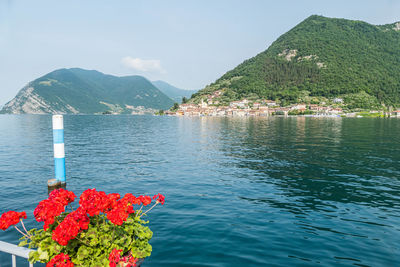 Landscape of the lakeside of peshiera maraglio in monte isola with beautiful colored houses 