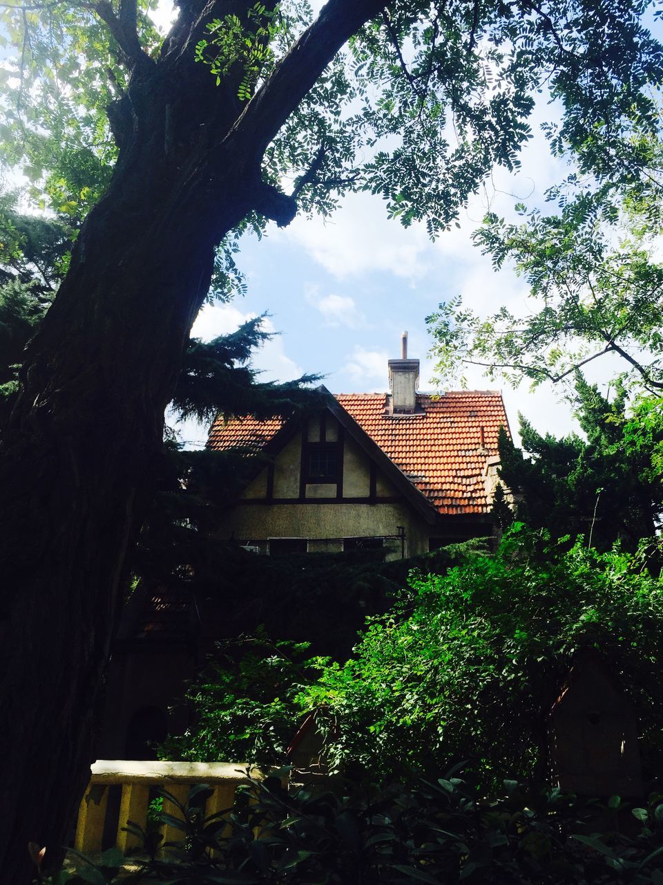 architecture, building exterior, built structure, tree, house, sky, residential structure, residential building, low angle view, growth, branch, window, no people, outdoors, day, exterior, cloud - sky, building, roof, city