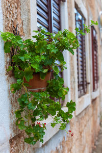 Supetar town on brac island, croatia