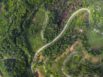High angle view of agricultural field