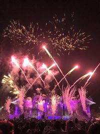 Fireworks exploding in night sky