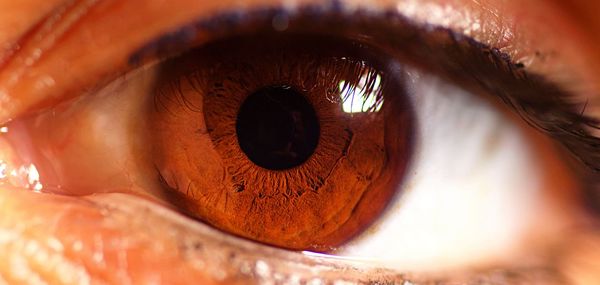 Close-up of human eye