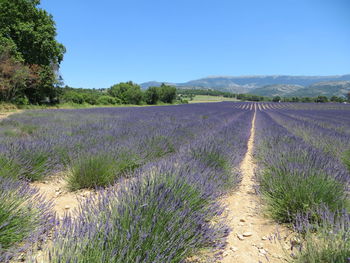 Scenic view of landscape against blue sky